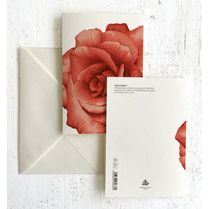 Vintage Rose Italian Note Cards Boxed Sets 4x6" Tassotti Italy 8/8 - Nostalgic Impressions
