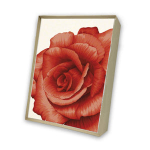 Vintage Rose Italian Note Cards Boxed Sets 4x6" Tassotti Italy 8/8 - Nostalgic Impressions