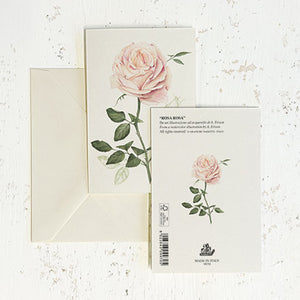 Rosa Italian Note Cards Boxed Sets 4x6" - by Tassotti Italy 8/8