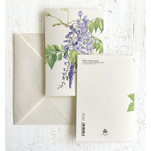 Wisteria Italian Note Cards Boxed Sets 4x6" - by Tassotti Italy 8/8 - Nostalgic Impressions