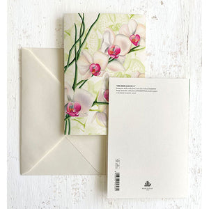 Orchids Italian Note Cards Boxed Sets 4x6" - by Tassotti Italy8/8 - Nostalgic Impressions