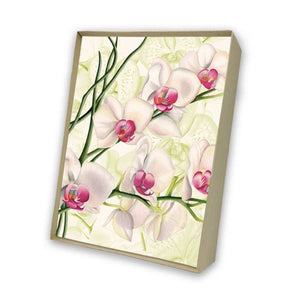Orchids Italian Note Cards Boxed Sets 4x6" - by Tassotti Italy8/8 - Nostalgic Impressions