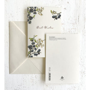 Best Wishes Italian Note Cards Boxed Sets 4x6" - by Tassotti Italy 8/8 - Nostalgic Impressions