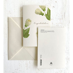 Congratulations Italian Note Cards Boxed Sets 4x6" - by Tassotti Italy 8/8 - Nostalgic Impressions