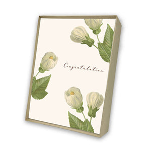 Congratulations Italian Note Cards Boxed Sets 4x6" - by Tassotti Italy 8/8 - Nostalgic Impressions