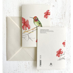 Hummingbird Italian Note Cards Boxed Sets 4x6" - by Tassotti Italy 8/8 - Nostalgic Impressions