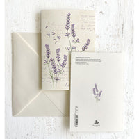 Lavendar Italian Note Cards Boxed Sets 4x6" - by Tassotti Italy 8/8