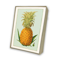 Pineapple Italian Note Cards Boxed Sets 4x6" - by Tassotti Italy 8/8