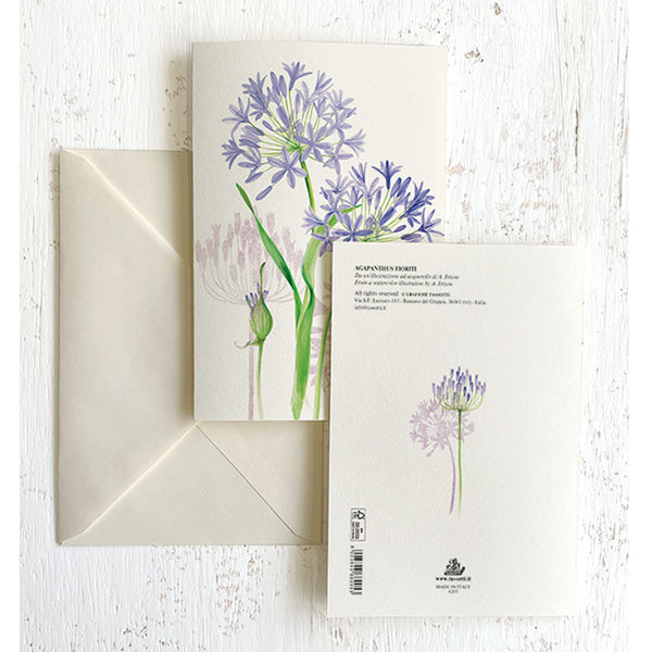 Agapanthus Italian Note Cards Boxed Sets 4x6" - by Tassotti Italy 8/8