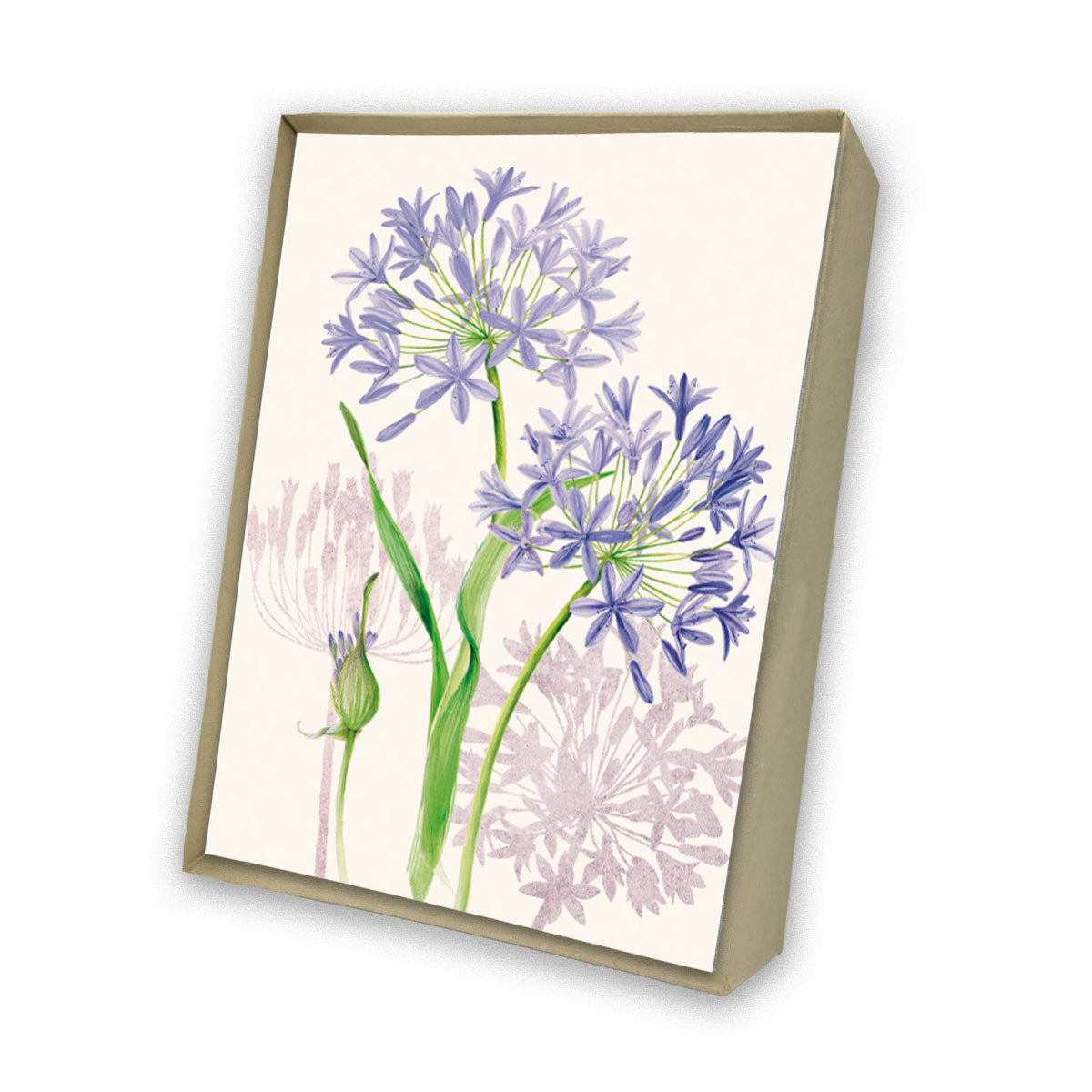 Agapanthus Italian Note Cards Boxed Sets 4x6" - by Tassotti Italy 8/8