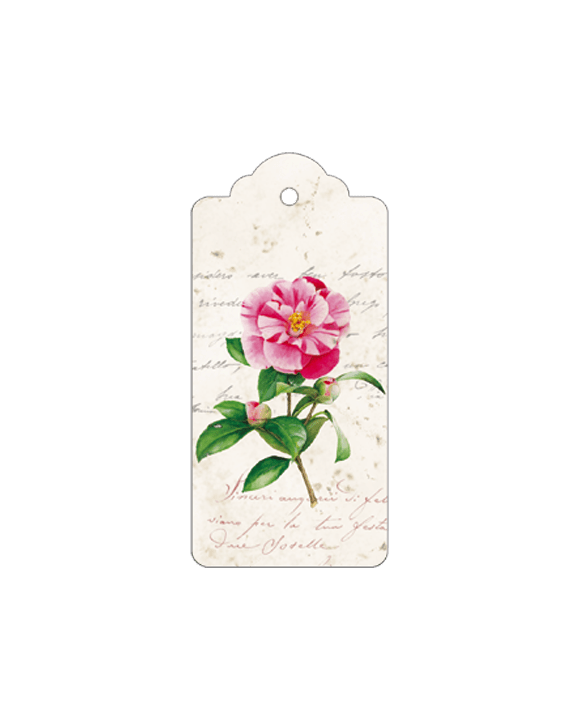 Camellia Italian Gift Tags with String - Pack of 4 - Nostalgic Impressions