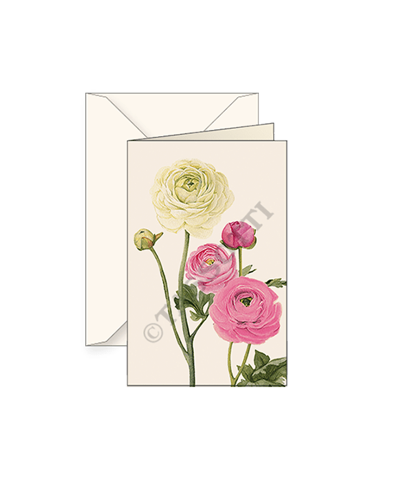 Ranunculus Small Note Cards with envelope 3x4 - Set of 2 - Nostalgic Impressions