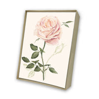 Rosa Italian Note Cards Boxed Sets 4x6" - by Tassotti Italy 8/8