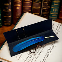Colorful Feather Ballpoint Pen with 2 refills in folder
