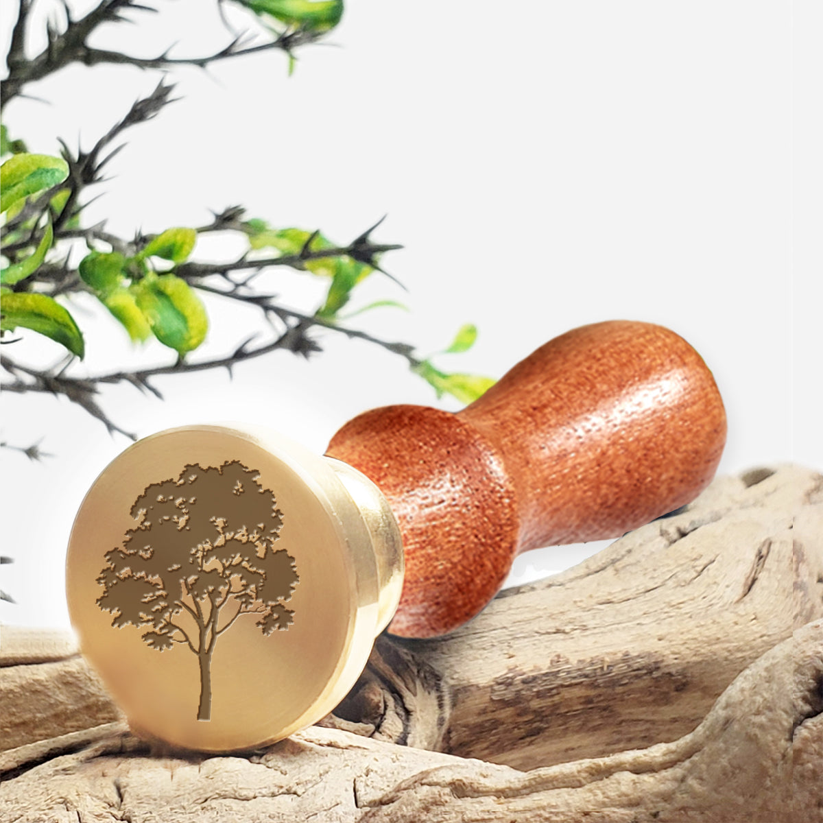 Maple Tree Wax Seal Stamp #5212- USA Handcrafted