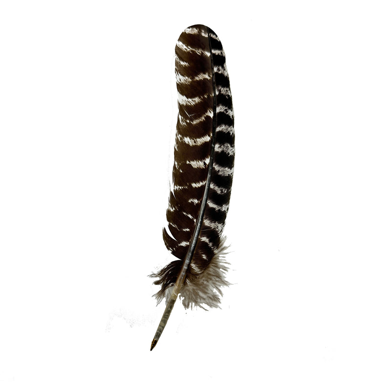 Turkey Feather Ballpoint Pen - Refillable