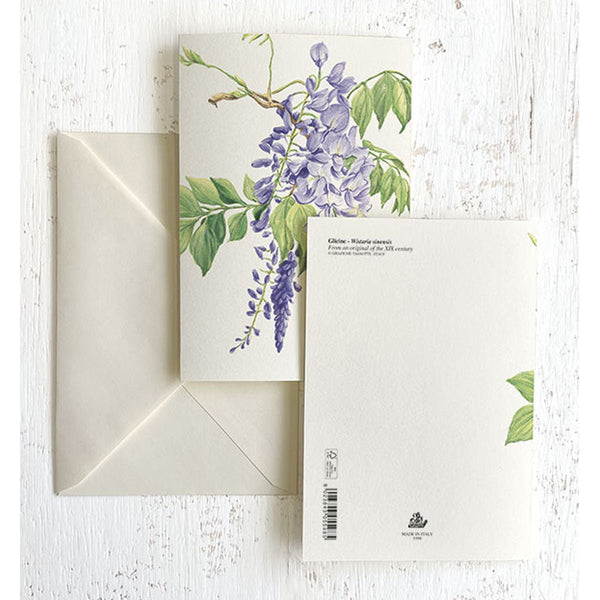 Wisteria Italian Note Cards Boxed Sets 4x6" - by Tassotti Italy 8/8 - Nostalgic Impressions