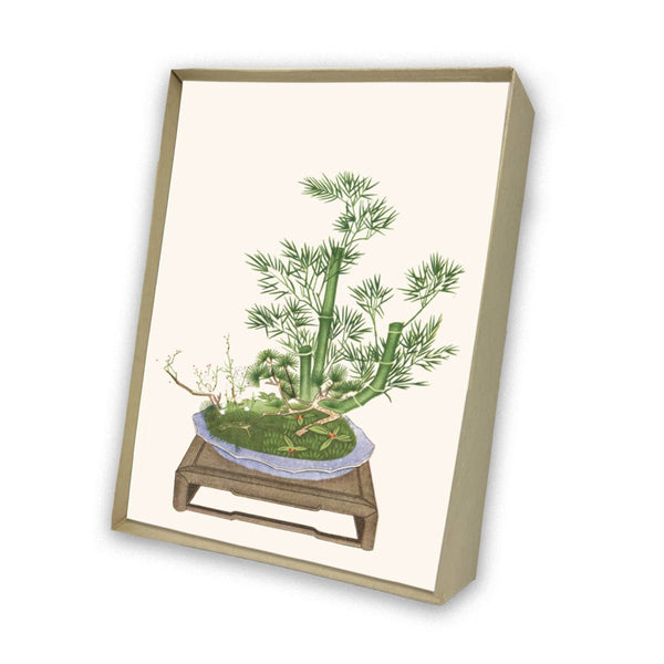 Bonsai Italian Note Cards Boxed Sets 4x6" - by Tassotti Italy 8/8 - Nostalgic Impressions