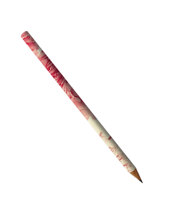 Peonies Notebook Gift Set with matching Pencil 6x8