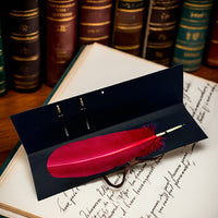 Colorful Feather Ballpoint Pen with 2 refills in folder