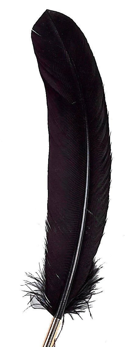 Promotional Ballpoint Feather Pen with Custom Logo or Personalization - Nostalgic Impressions
