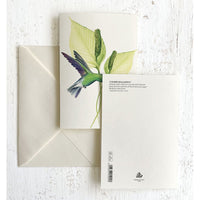 Hummingbird Green Italian Note Cards Boxed Sets 4x6" - by Tassotti Italy 8/8 - Nostalgic Impressions