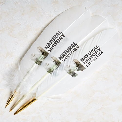 Promotional Ballpoint Feather Pen with Custom Logo or Personalization - Nostalgic Impressions